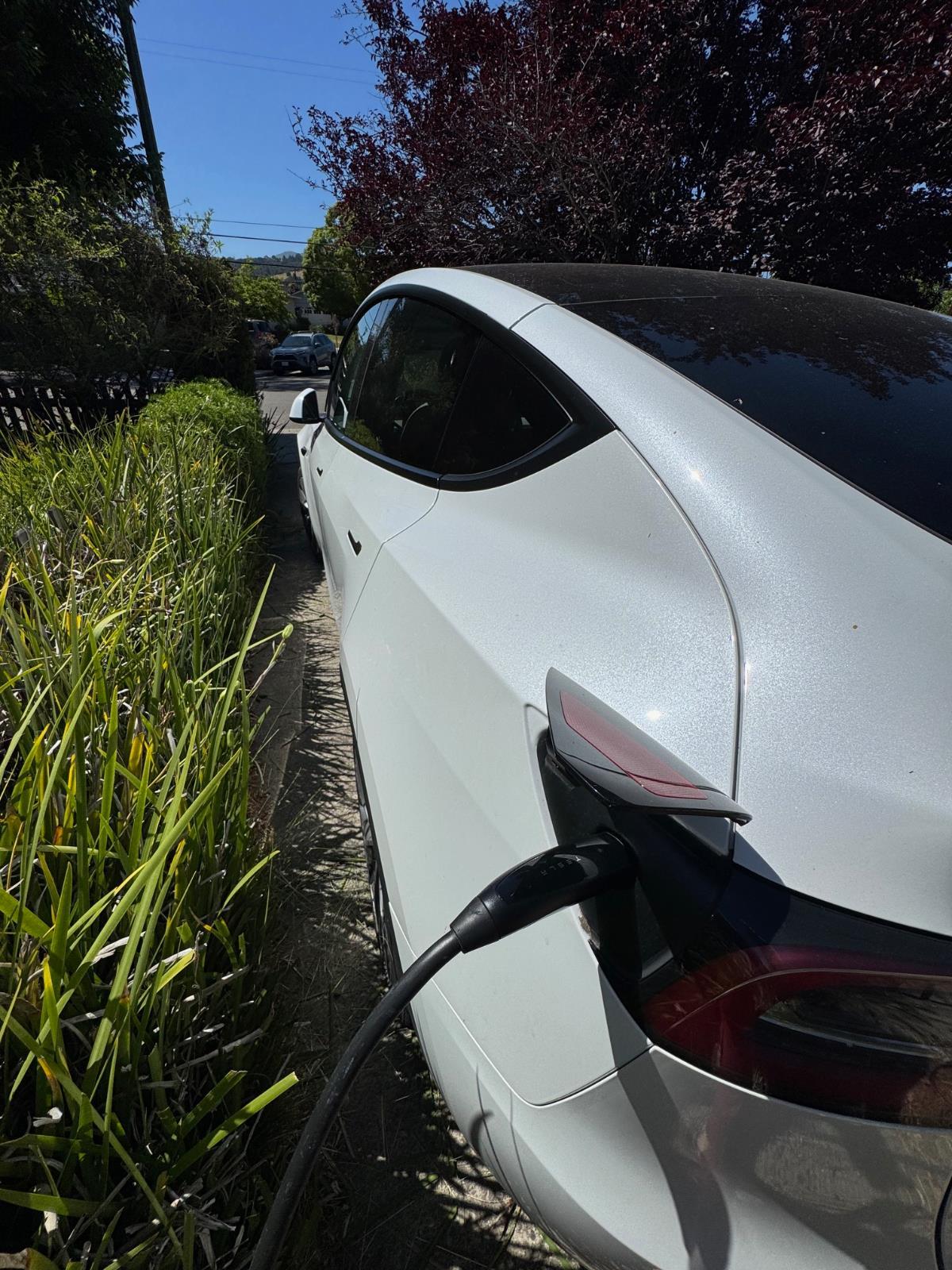 tesla model y 2023 7SAYGDEE0PF743914 image tesla model y 2023 7SAYGDEE0PF743914 image